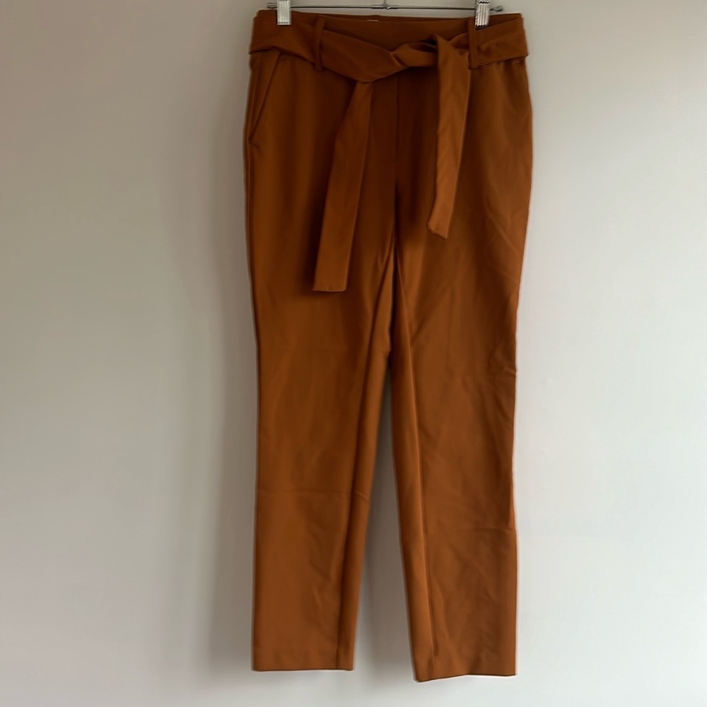 Anthropologie Autres Filles Belted Trousers Pants